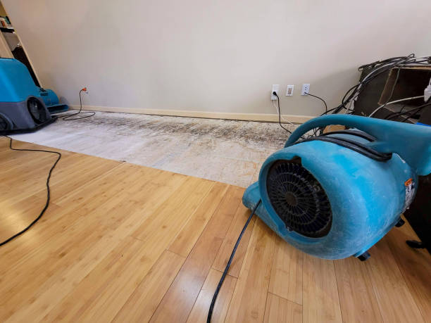 Professional Water Extraction technician working in Hastings, MN